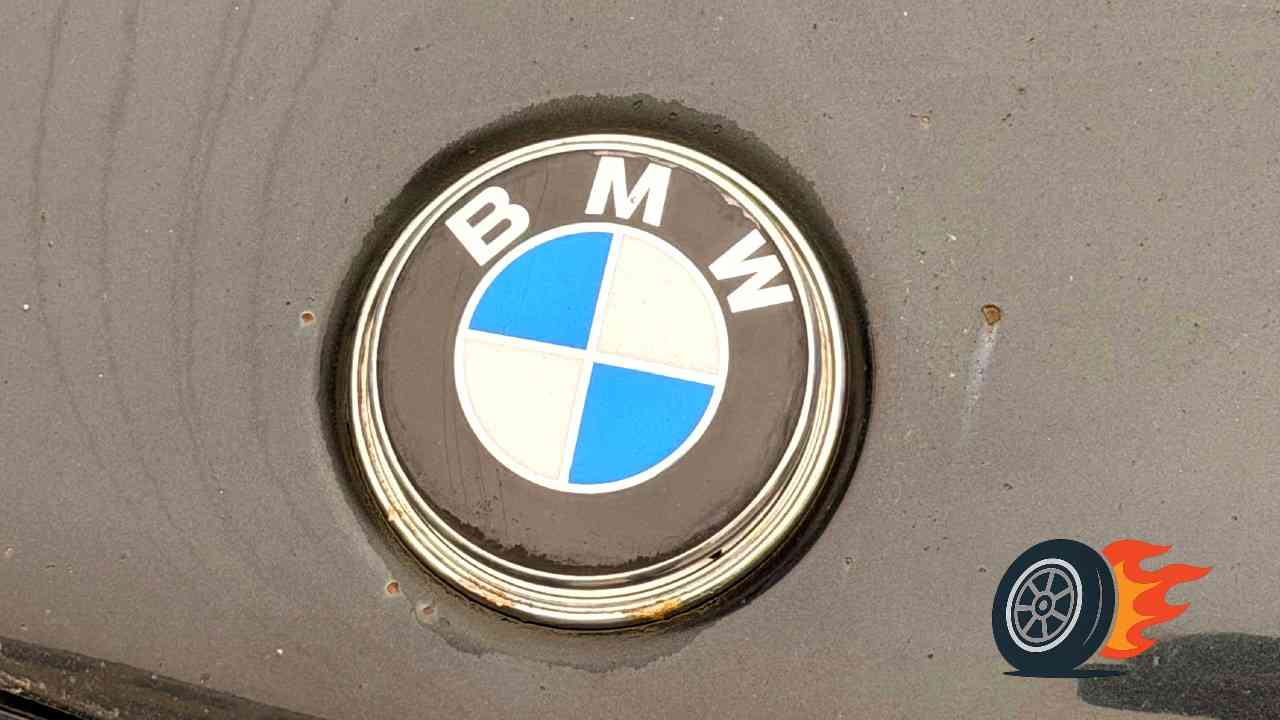 BMW bodky hrdze na kapote_1.jpg