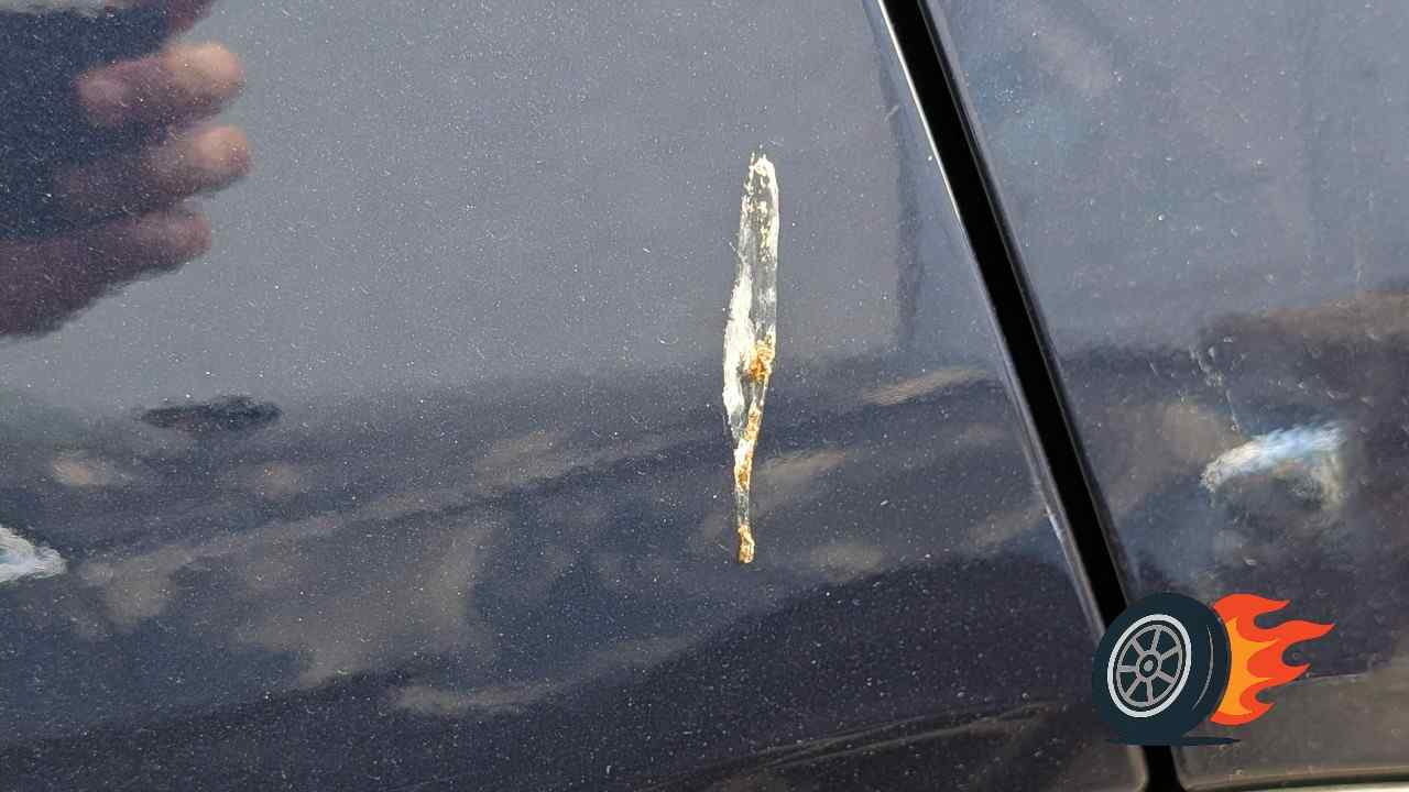 lak auta vtaci trus_1