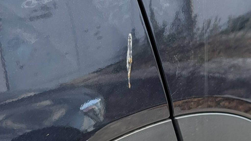 vtaci trus na laku auta_1