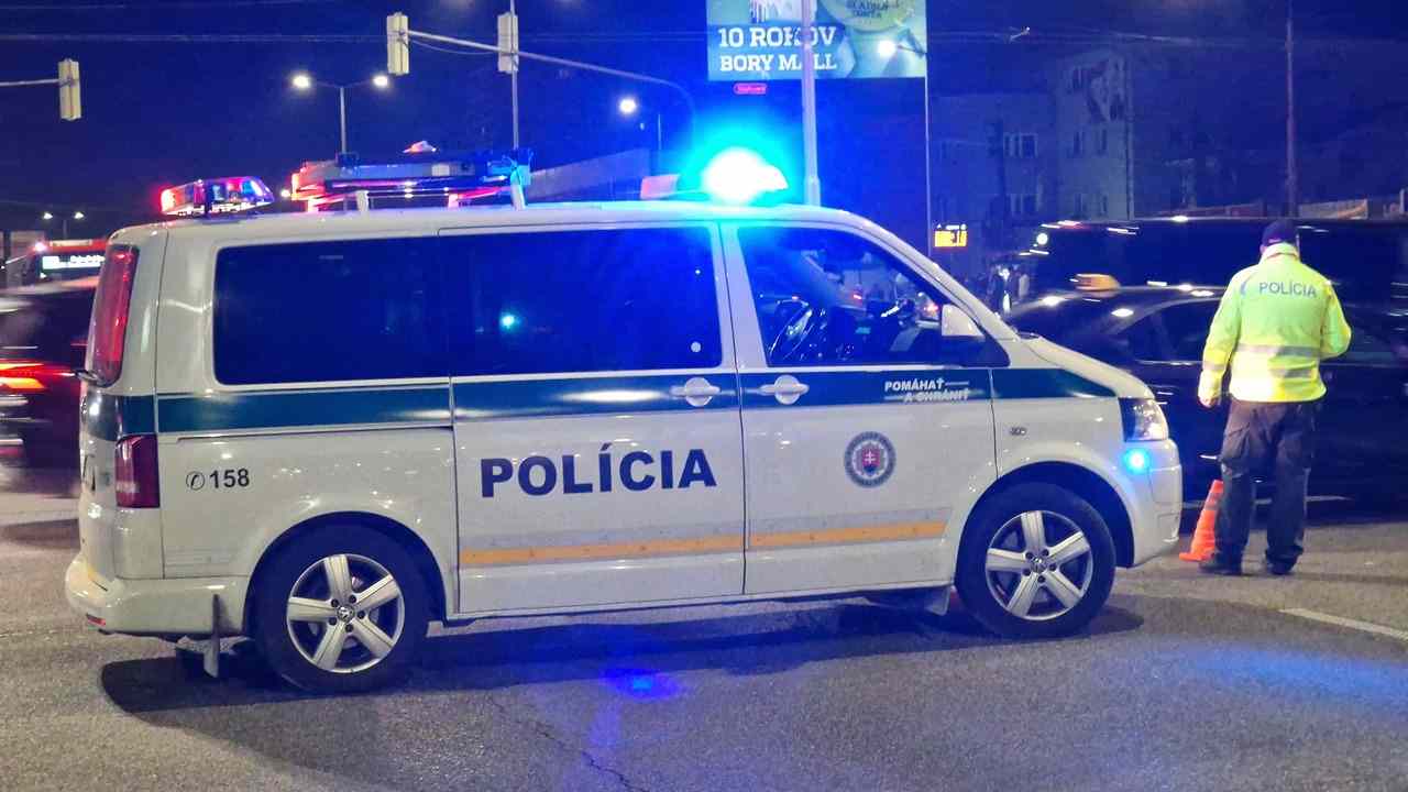 policajna kontrola