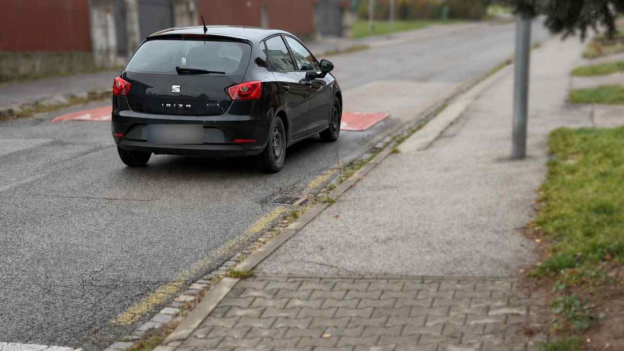 male auto retarder spomalovac