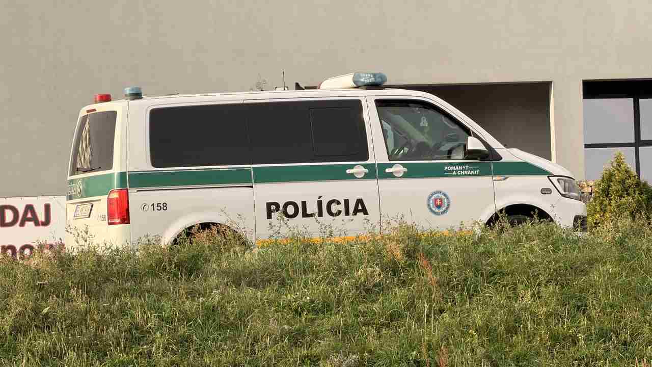 Policajná kontrola vodiča na ceste